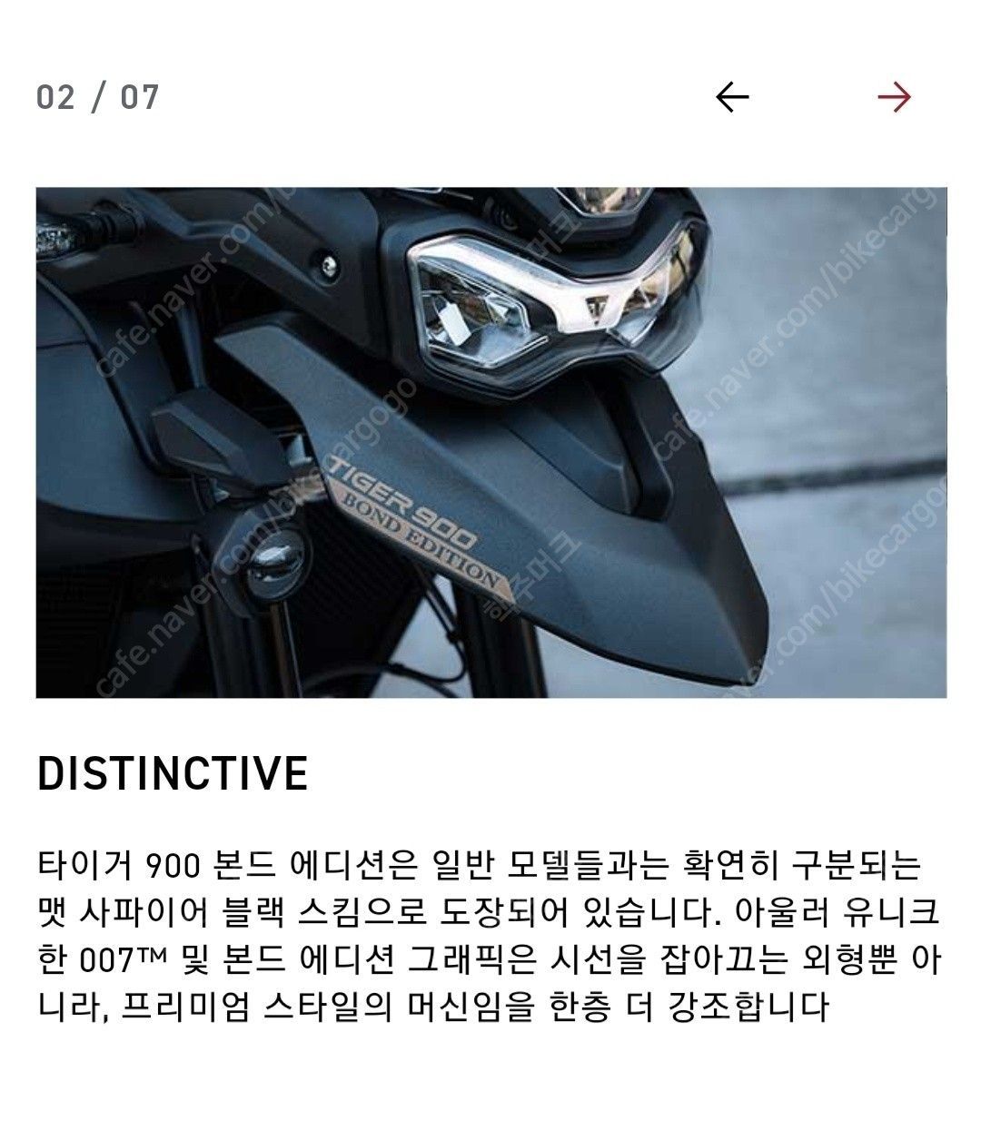 트라이엄프 타이거 900 랠리 프로 21