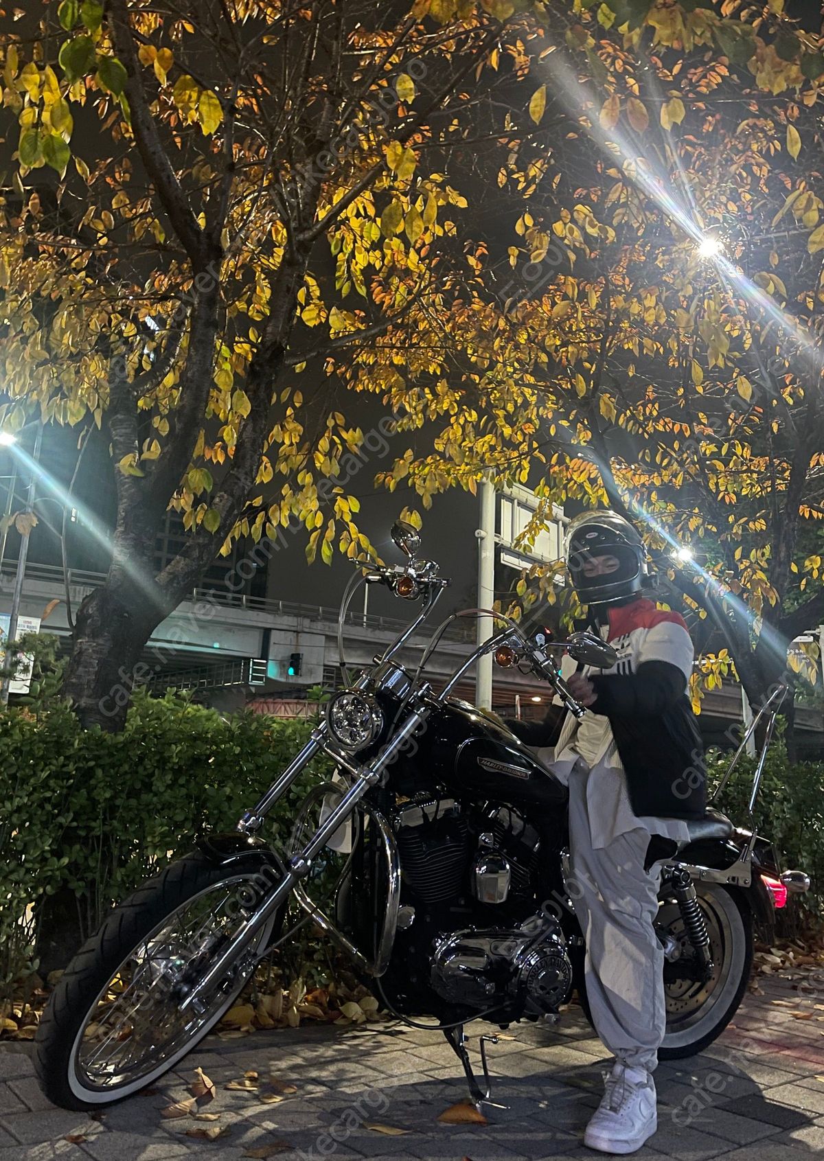 할리데이비슨 스포스터 1200 커스텀 9
