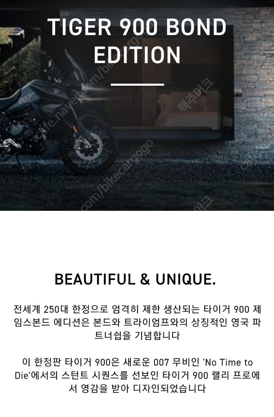 트라이엄프 타이거 900 랠리 프로 12
