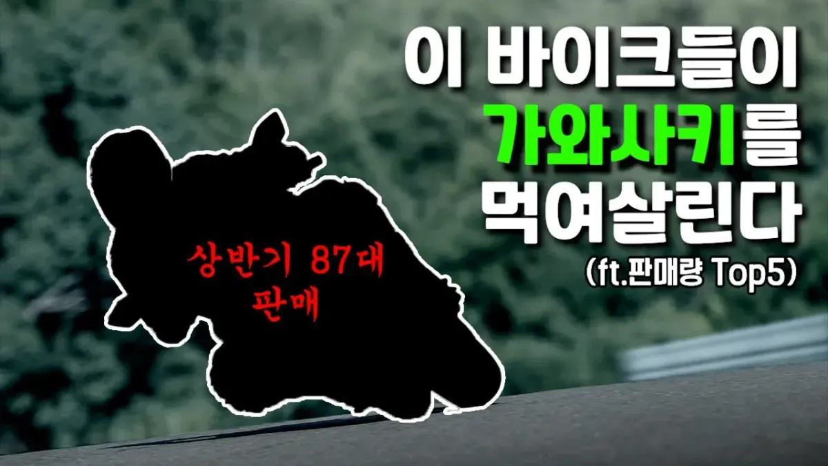 2024년 가와사키 판매량 Top 5