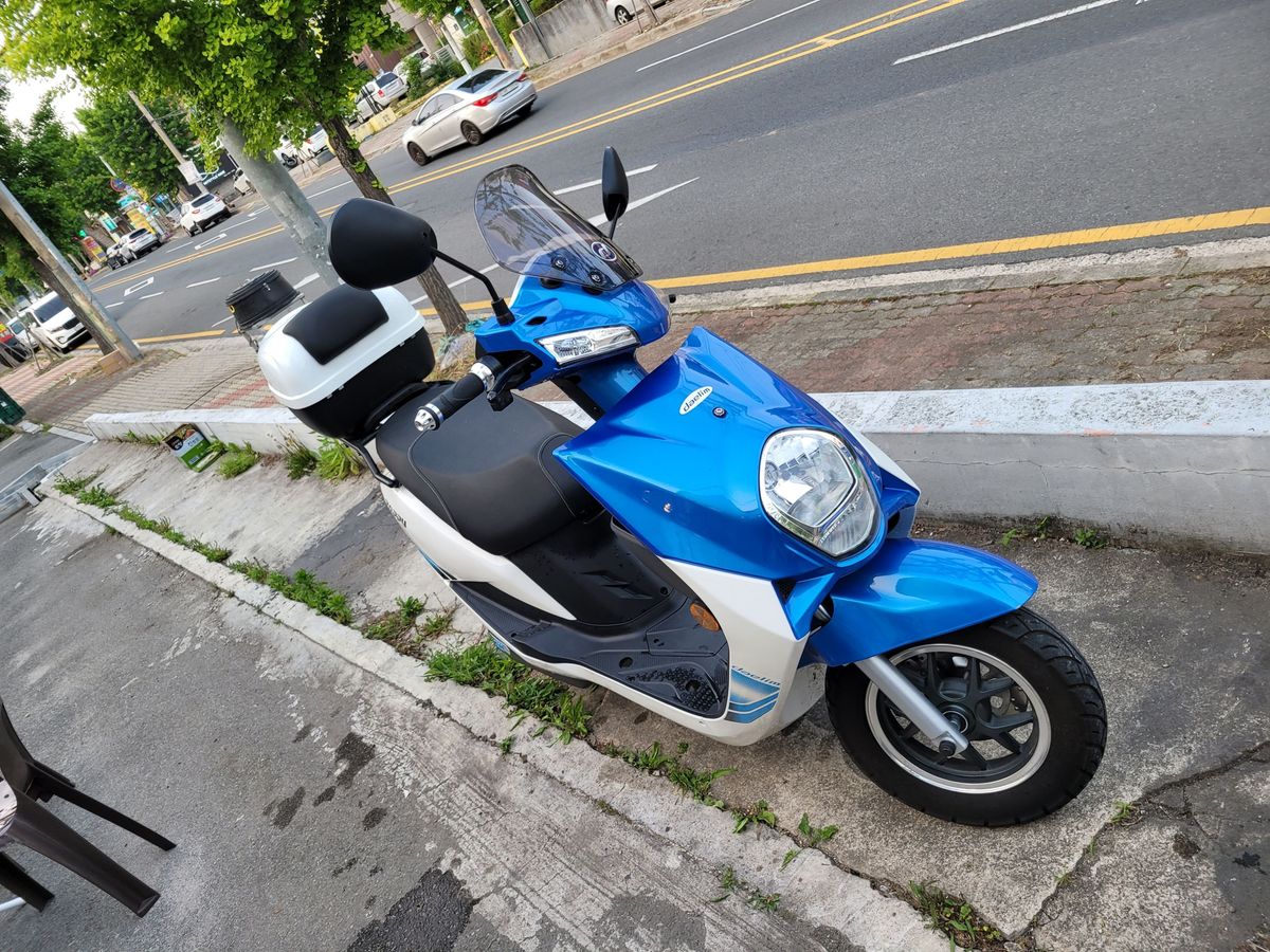 대림 재피 more
