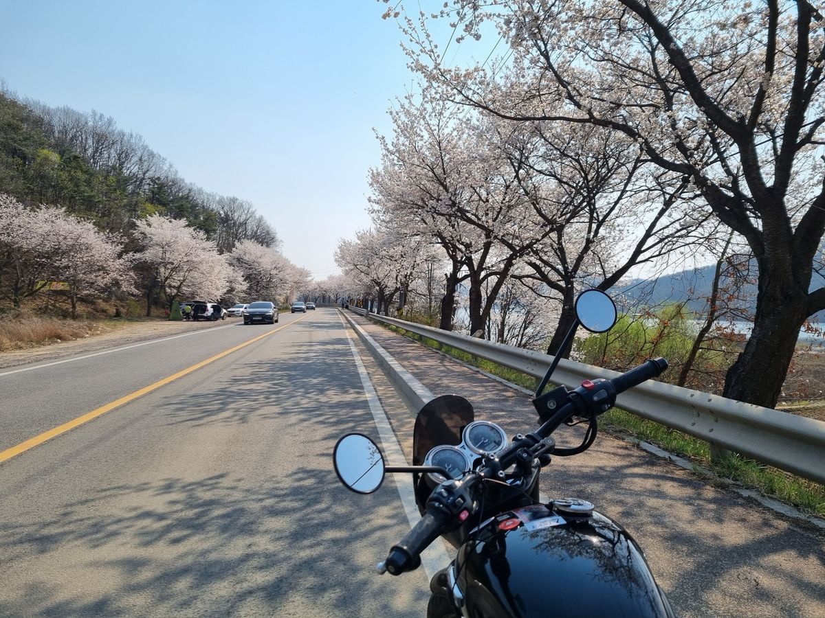 트라이엄프 본네빌 T120 블랙 6