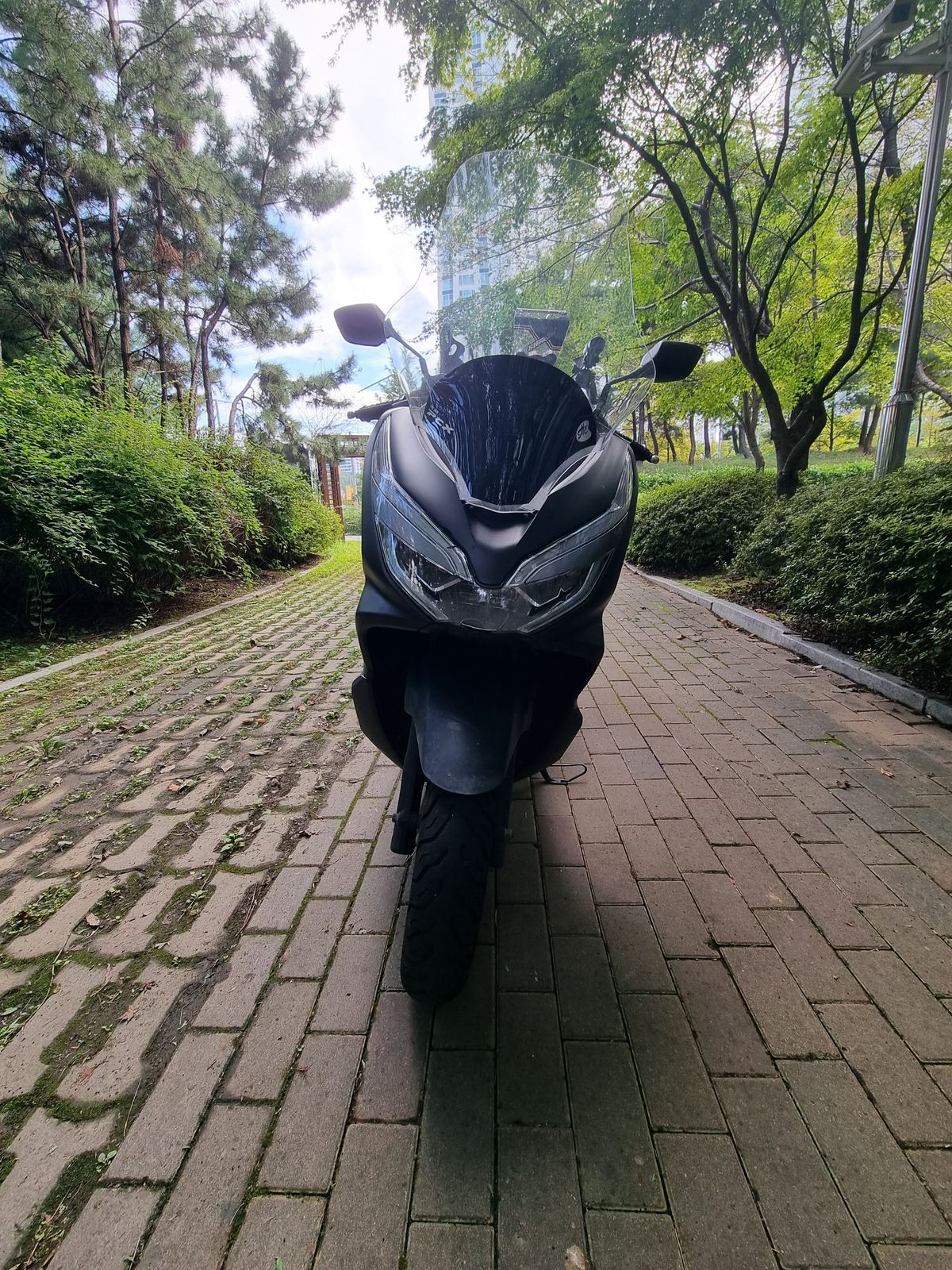 혼다 PCX 125 more